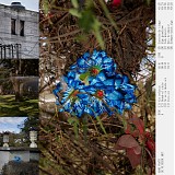 Mabe Fratti - Se Ve Desde Aquí