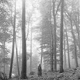 Taylor Swift - Folklore BEIGE