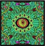 The Handsome Family - Wilderness