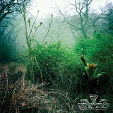 Mind Over Mirrors - Check Your Swing