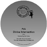 PVA - Divine Intervention