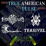 Various artists - True American Pulse (Split)