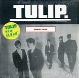 Tulip - Primary Color