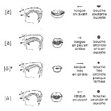 Yoo Doo Right - The Sacred Fuck EP