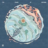 Ford - The Color Of Nothing