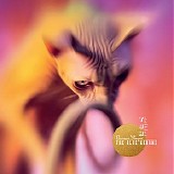 The Blue Herons - Demon Slayer