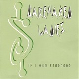 Barenaked Ladies - If I Had A Million Dollars