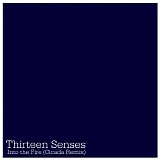 Thirteen Senses - Into The Fire (cicada remix)