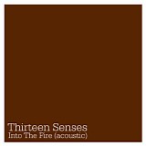 Thirteen Senses - Into The Fire (acoustic)