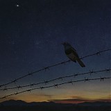 Nourallah, Salim - Close As A Star