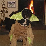 Mogwai - Travel Is Dangerous