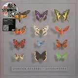 Dominik Eulberg - Lepidoptera