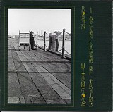 Robyn Hitchcock - I Often Dream Of Trains