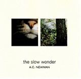 A.C. Newman - The Slow Wonder