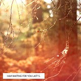 I Am Waiting For You Last Summer - Protowinter