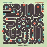 Carl Hudson - Magic Bullet