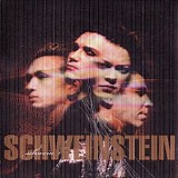 Schwein - Schweinstein