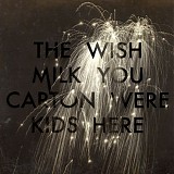 Milk Carton Kids, The - Wish You Were Here