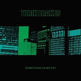 Turin Brakes - Something In My Eye