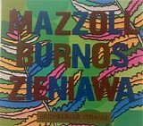 Mazzoll, Szymon Burnos & Liliana Zieniawa - Bromberger Strasse