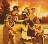 Nerve Toy Trio - Accidental Bar-B-Que