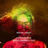 Wilson, Steven - Permanating (Ewan Pearson mix)