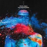 Wilson, Steven - How Big The Space