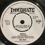 Nice, The - America
