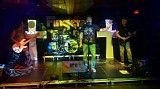 Bit of Finger - Chicopee MA