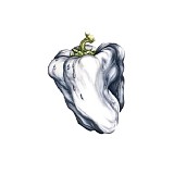 Ween - White Pepper