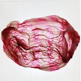Susumu Yokota & Rothko - Distant Sounds Of Summer