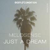Melosense - Just A Dream