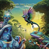 Øresund Space Collective - Progably You're Wrong
