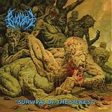 Bloodbath - Survival of the Sickest