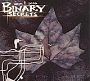 Dom F. Scab - Binary Secrets (2001)