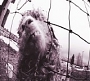 Pearl Jam - Vs. (2011)