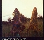 First Aid Kit - The Lion's Roar <Bonus Track Edition> (2012)