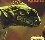Iguana - Iguana  (Unofficial Remastered Reissue) (1972)