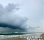 Fernando Perdomo - Waves 10 (Limited Edition) (2025)