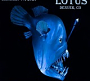Lotus - Live at Cervantes' Masterpiece Ballroom, Denver CO 01-17-26 (2026)