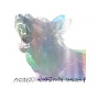 Ascii.Disko - Moshpit Poetry Remixes (2026)