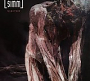 SIMM - Visitor (2013)