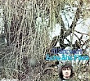 Al Stewart - Zero She Lies - Original Album Series (2014)