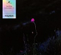 Satin Jackets - Reunion (2022)